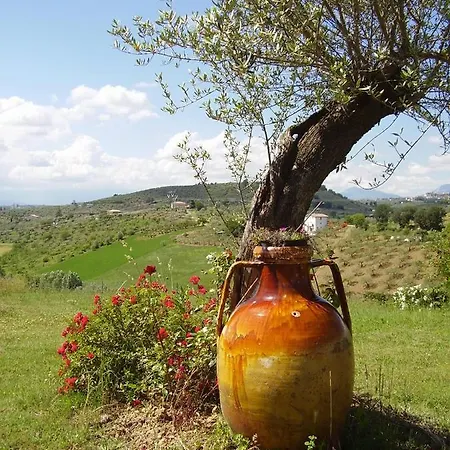 Casa vacanze Abruzzocasacampagna - Monolocale Con Mini-cucina, Giardino E Parcheggio Collecorvino